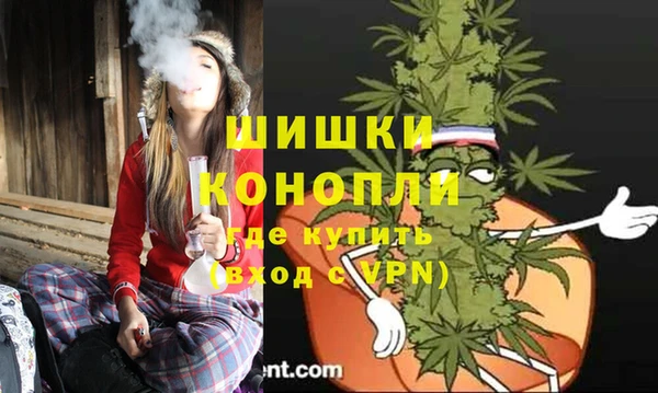 твердый Богородск