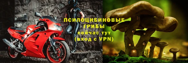 твердый Богородск